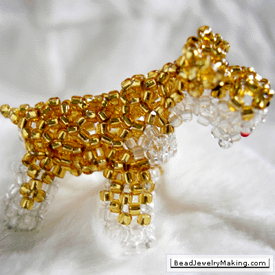 Golden Schnauzer