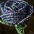 Purple Rose