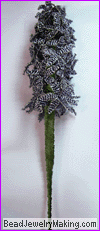 purple hyacinth long