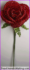 red rose long